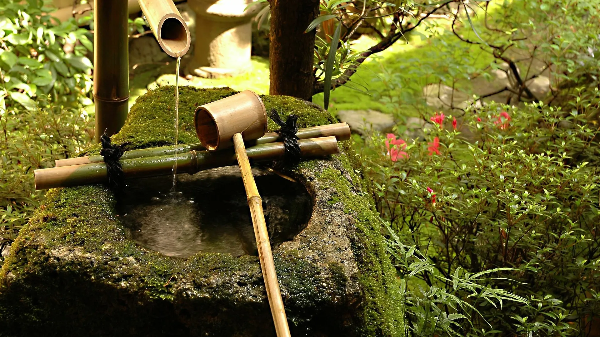 Ryokan Motonago Kyoto